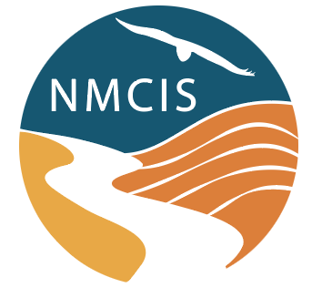 NMCIS